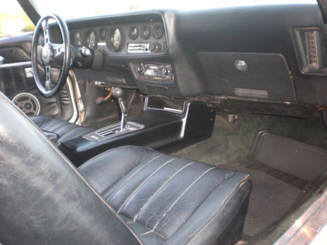 1979 Pontiac Trans Am - photo 12