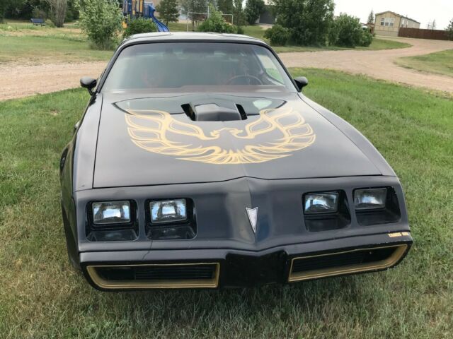 1979 Pontiac Trans Am Trans Am