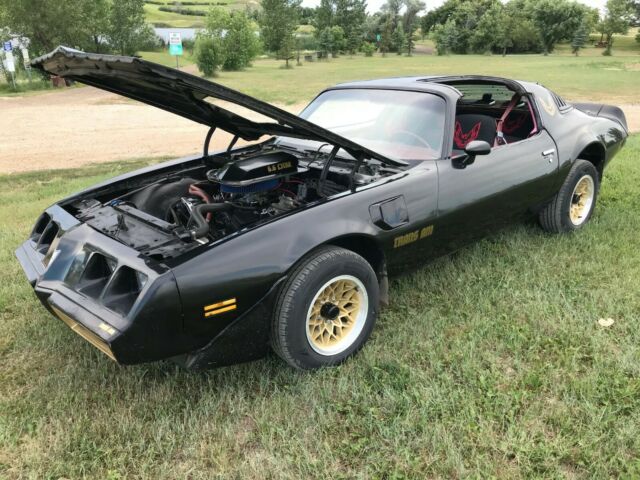 1979 Pontiac Trans Am Trans Am - photo 10