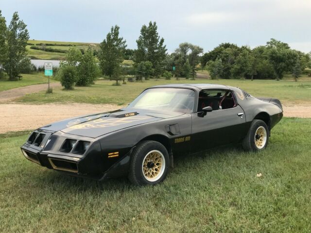 1979 Pontiac Trans Am Trans Am - photo 2