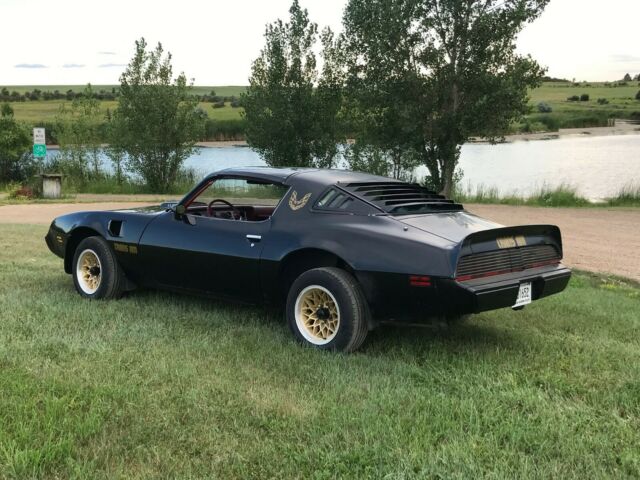 1979 Pontiac Trans Am Trans Am - photo 3