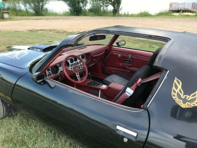 1979 Pontiac Trans Am Trans Am - photo 7