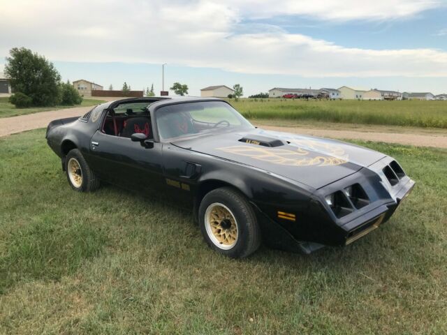 1979 Pontiac Trans Am Trans Am - photo 8
