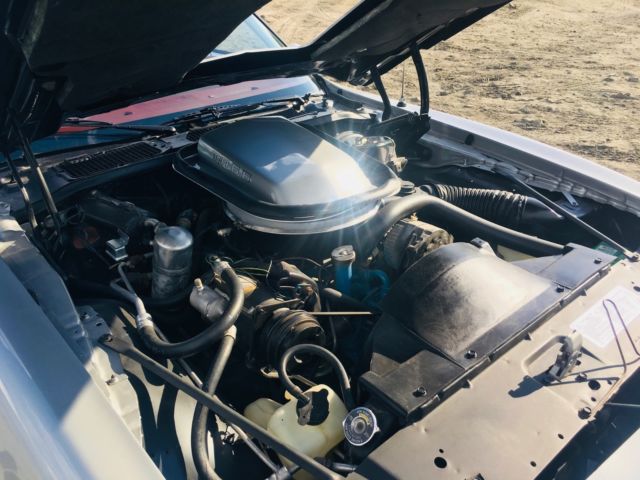1979 Pontiac Trans Am Trans AM - photo 10