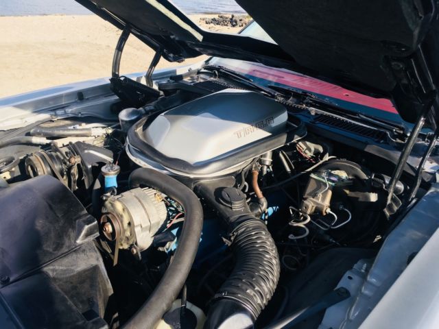 1979 Pontiac Trans Am Trans AM - photo 8