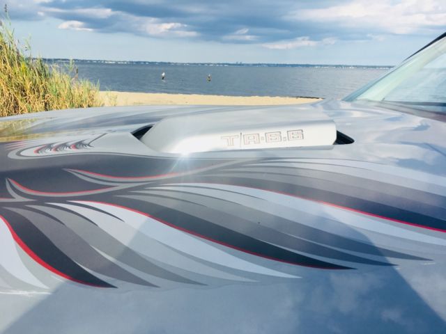 1979 Pontiac Trans Am TA - photo 2