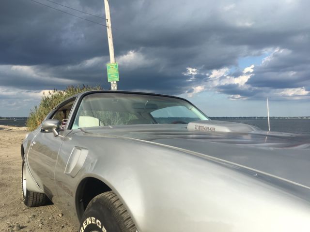 1979 Pontiac Trans Am TA - photo 5