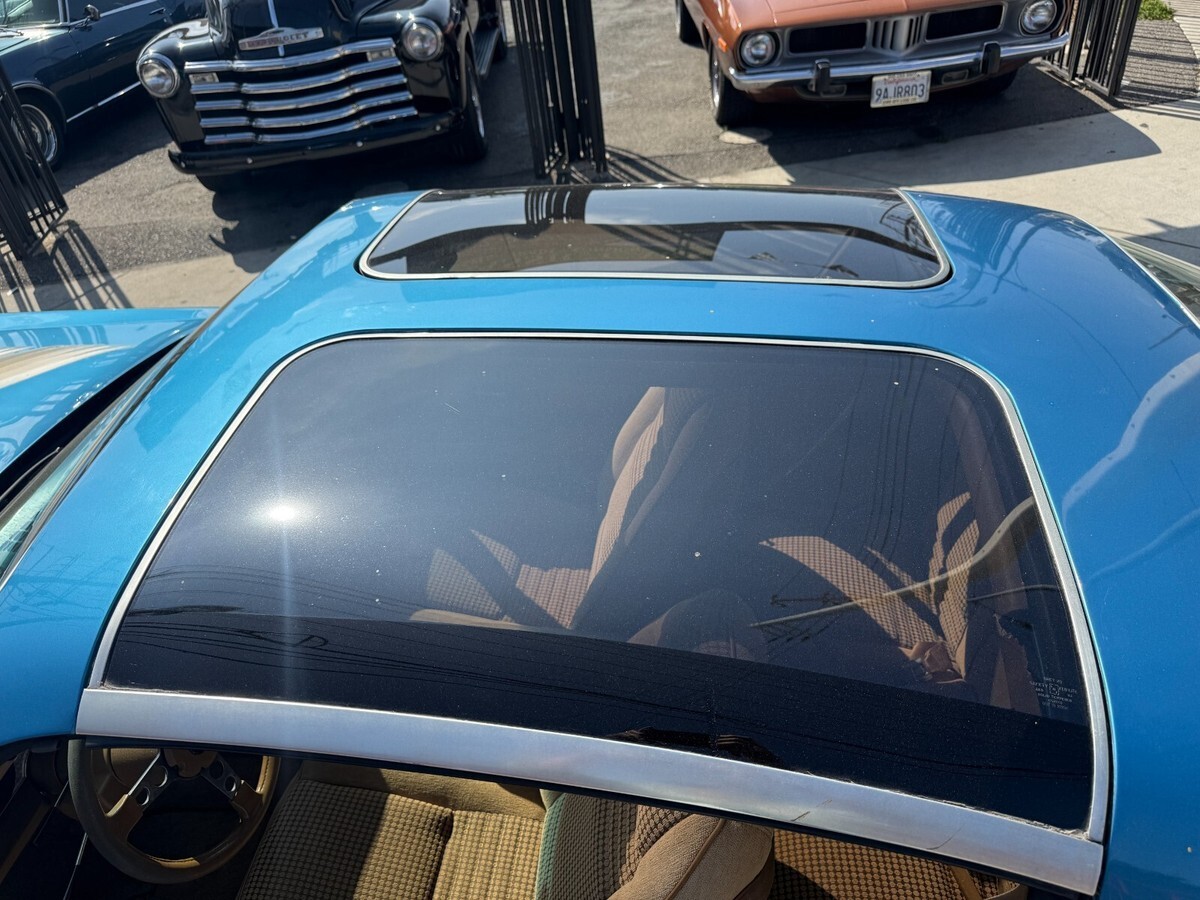 1979 Pontiac Trans Am - photo 11