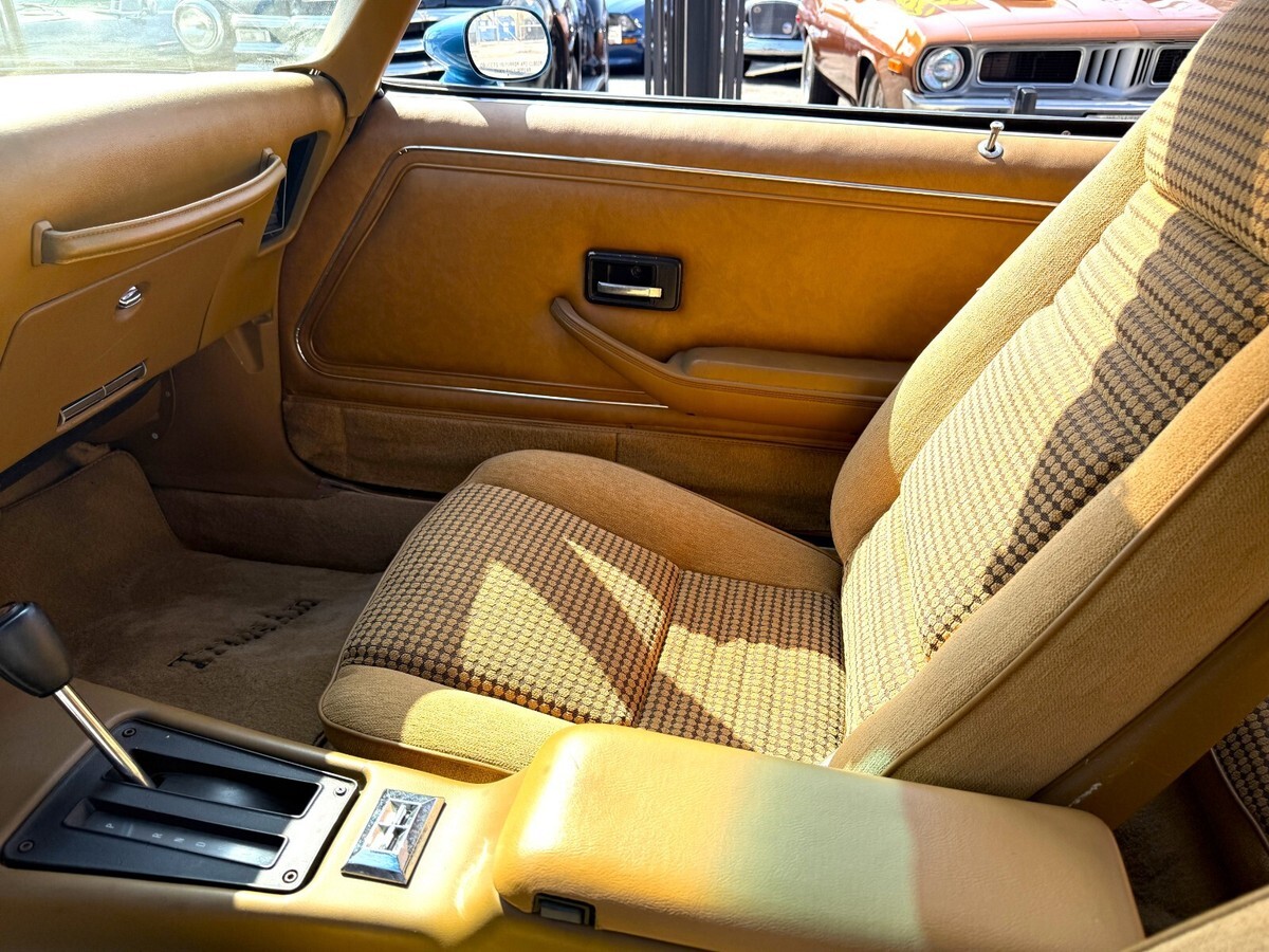 1979 Pontiac Trans Am - photo 9