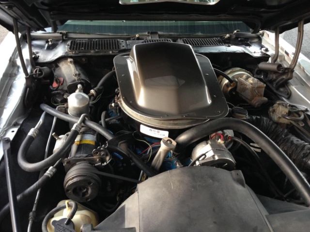 1979 Pontiac Firebird Trans am - photo 2