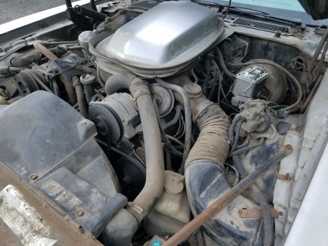 1979 Pontiac Trans Am WS6 - photo 13