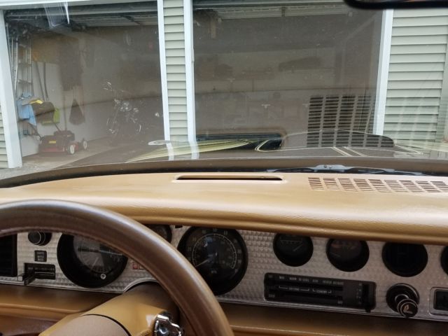 1979 Pontiac Trans Am WS6 - photo 11