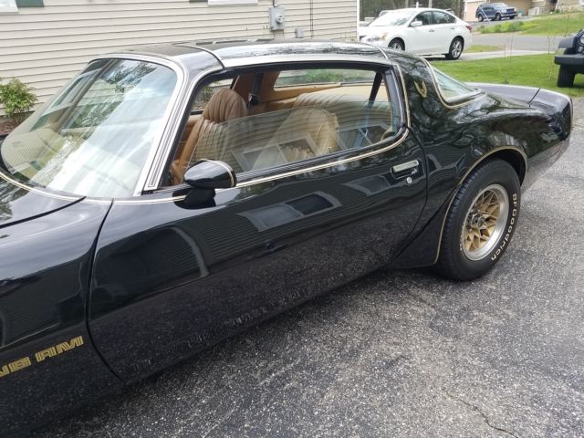 1979 Pontiac Trans Am WS6 - photo 12