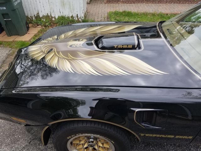 1979 Pontiac Trans Am WS6 - photo 13