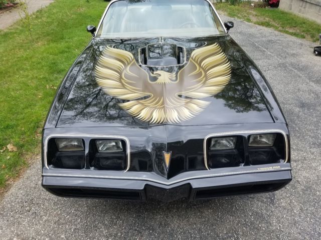 1979 Pontiac Trans Am WS6 - photo 2