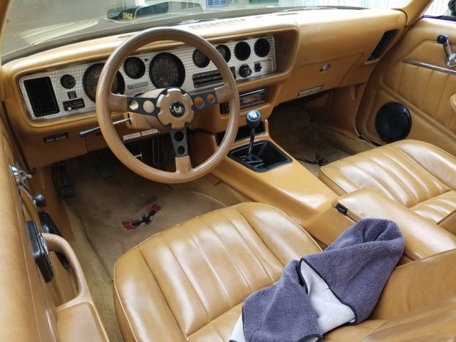 1979 Pontiac Trans Am WS6 - photo 8