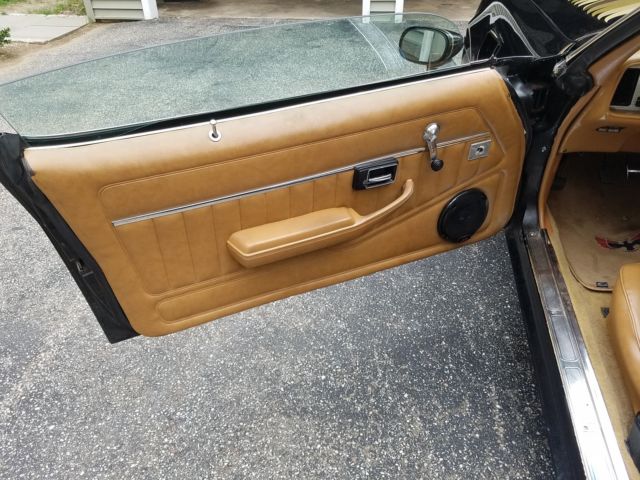 1979 Pontiac Trans Am WS6 - photo 9