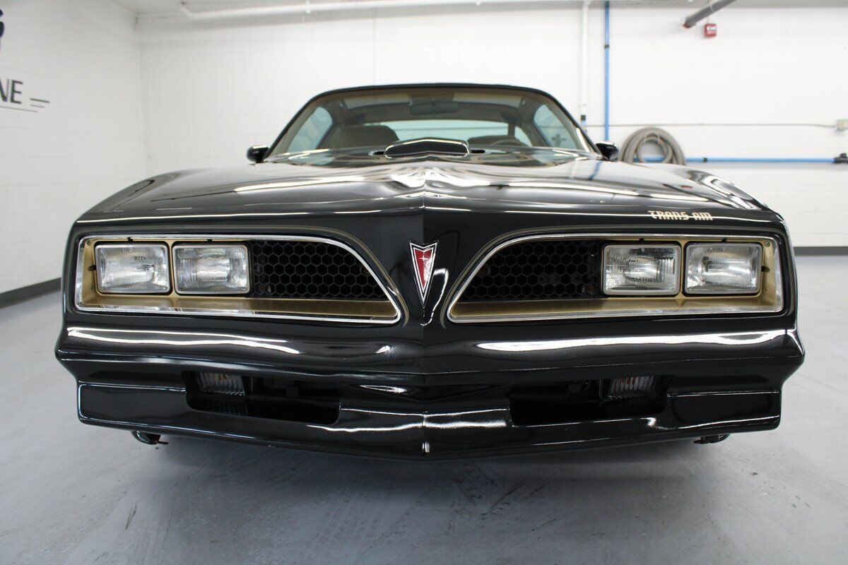 1979 Pontiac Trans Am - photo 10