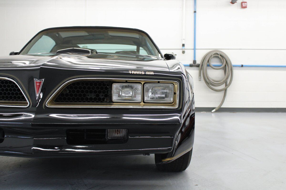 1979 Pontiac Trans Am - photo 11