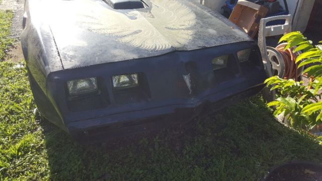 1979 Pontiac Trans Am - photo 11