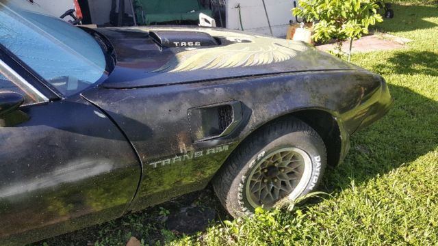 1979 Pontiac Trans Am - photo 12