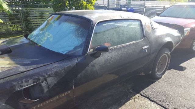 1979 Pontiac Trans Am - photo 13