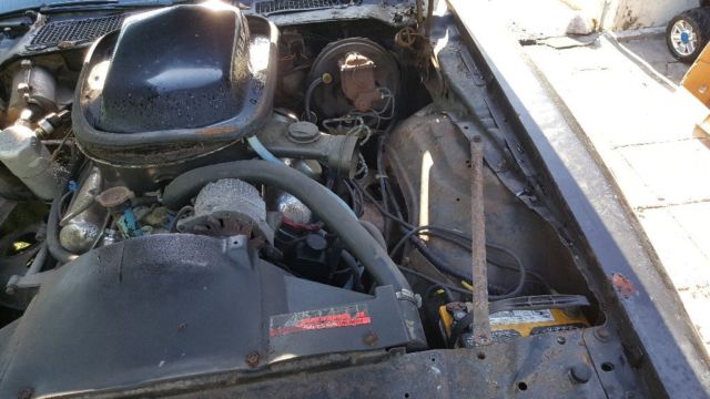 1979 Pontiac Trans Am - photo 2
