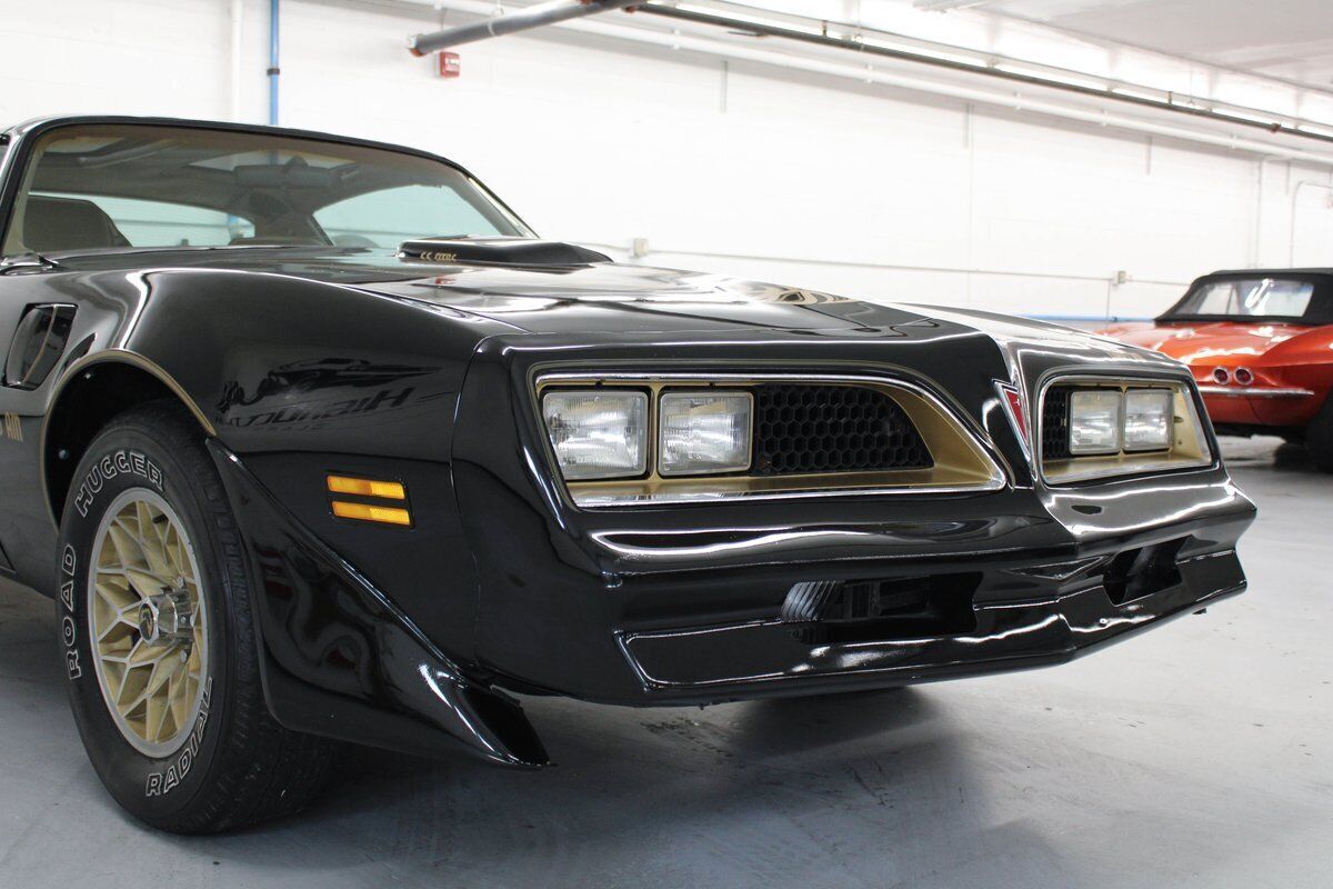 1979 Pontiac Trans Am - photo 8