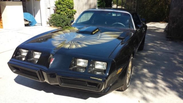 1979 Pontiac Trans Am New Paint/Decals - photo 4