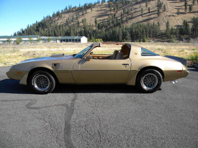 1979 Pontiac Firebird Trans Am