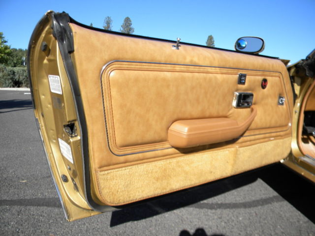 1979 Pontiac Firebird Trans Am - photo 10