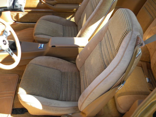 1979 Pontiac Firebird Trans Am - photo 11