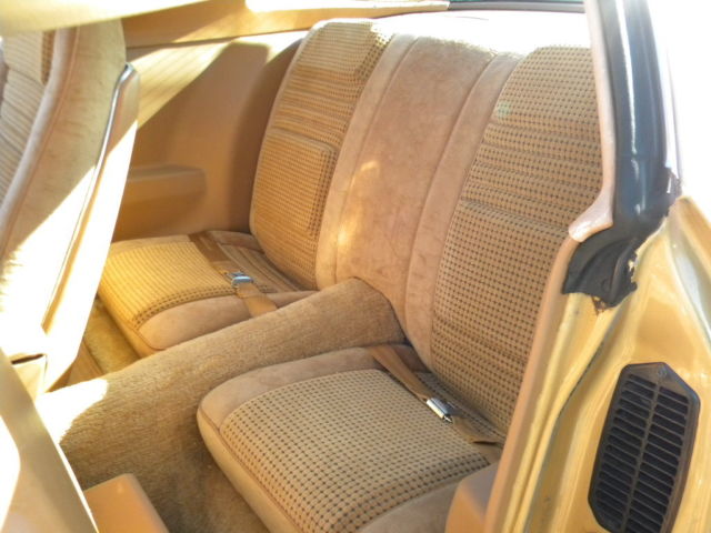 1979 Pontiac Firebird Trans Am - photo 12