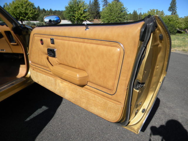 1979 Pontiac Firebird Trans Am - photo 13