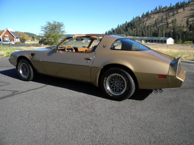 1979 Pontiac Firebird Trans Am - photo 2