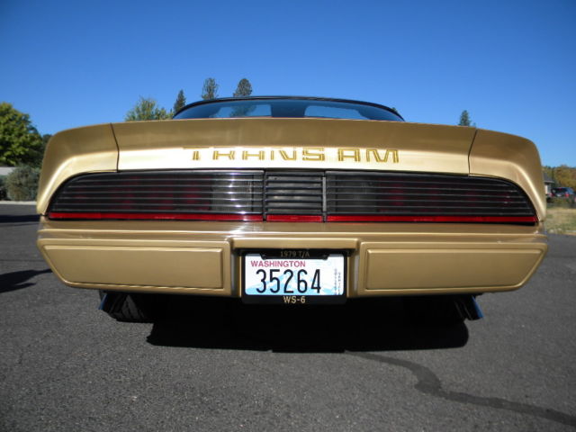 1979 Pontiac Firebird Trans Am - photo 3