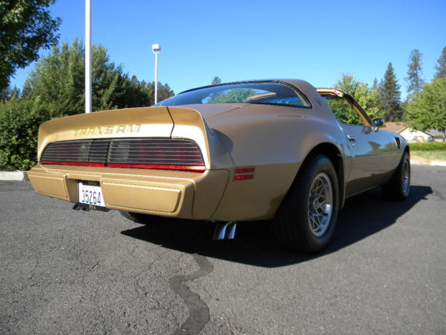 1979 Pontiac Firebird Trans Am - photo 4