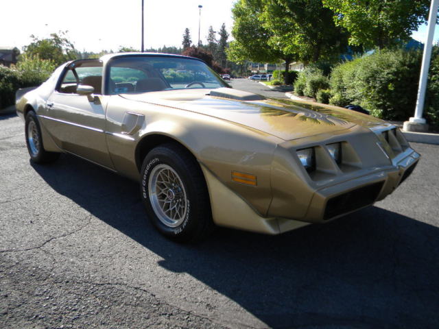 1979 Pontiac Firebird Trans Am - photo 6
