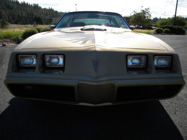 1979 Pontiac Firebird Trans Am - photo 7