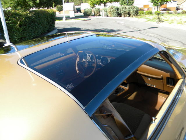 1979 Pontiac Firebird Trans Am - photo 8