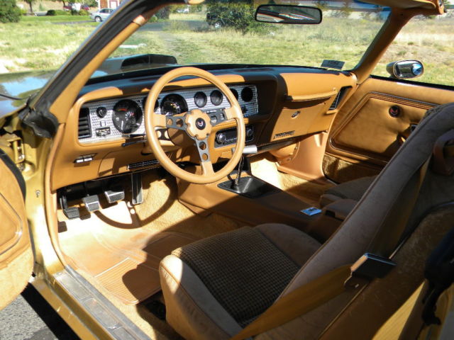 1979 Pontiac Firebird Trans Am - photo 9