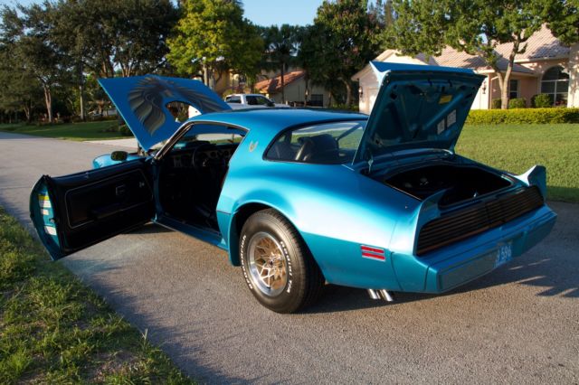 1979 Pontiac Trans Am - photo 10