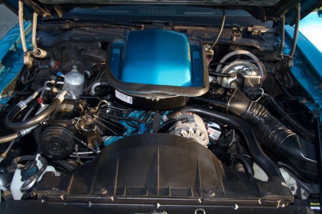 1979 Pontiac Trans Am - photo 11