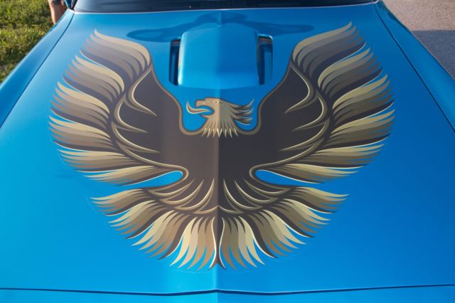 1979 Pontiac Trans Am - photo 12