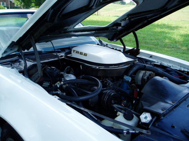 1979 Pontiac Trans Am - photo 4