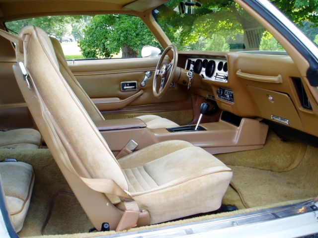 1979 Pontiac Trans Am - photo 7