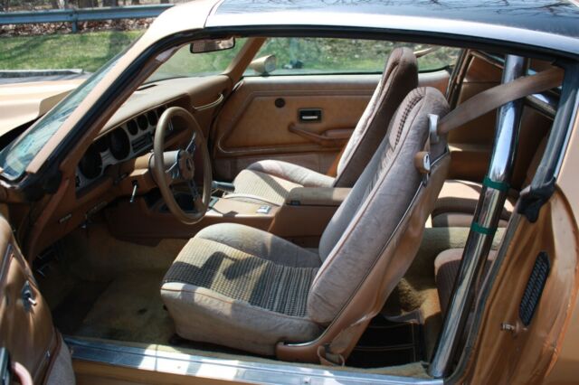 1979 Pontiac Trans Am - photo 10
