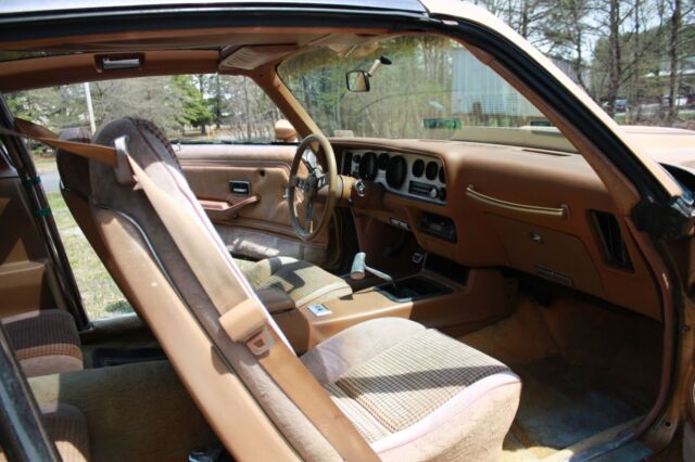 1979 Pontiac Trans Am - photo 12