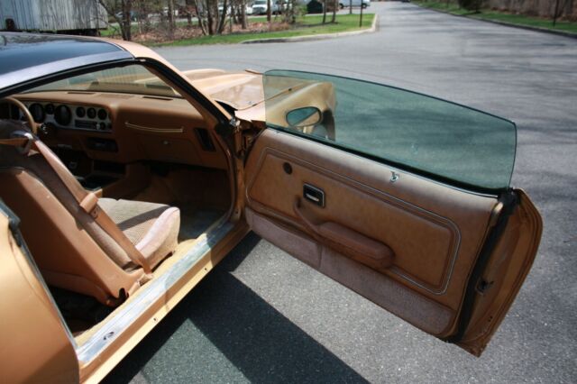 1979 Pontiac Trans Am - photo 13