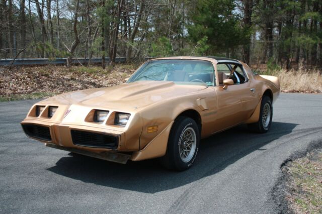 1979 Pontiac Trans Am - photo 3